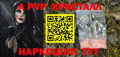 гашик Кимры