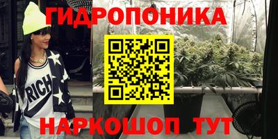гашик Кимры