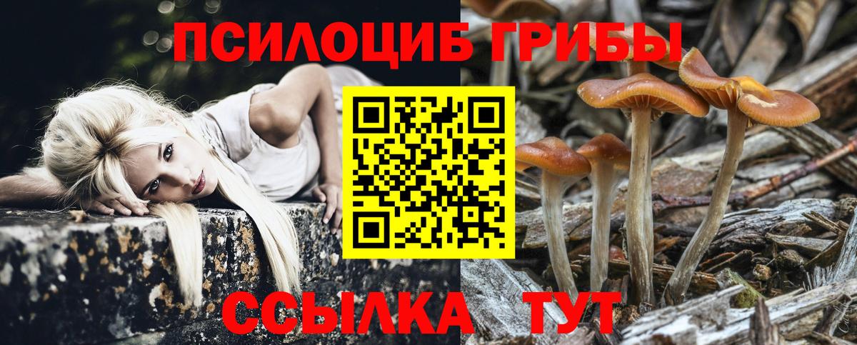 Галлюциногенные грибы прущие грибы  Псилоцибиновые грибы GOLDEN TEACHER  Вход с VPN  Торжок 